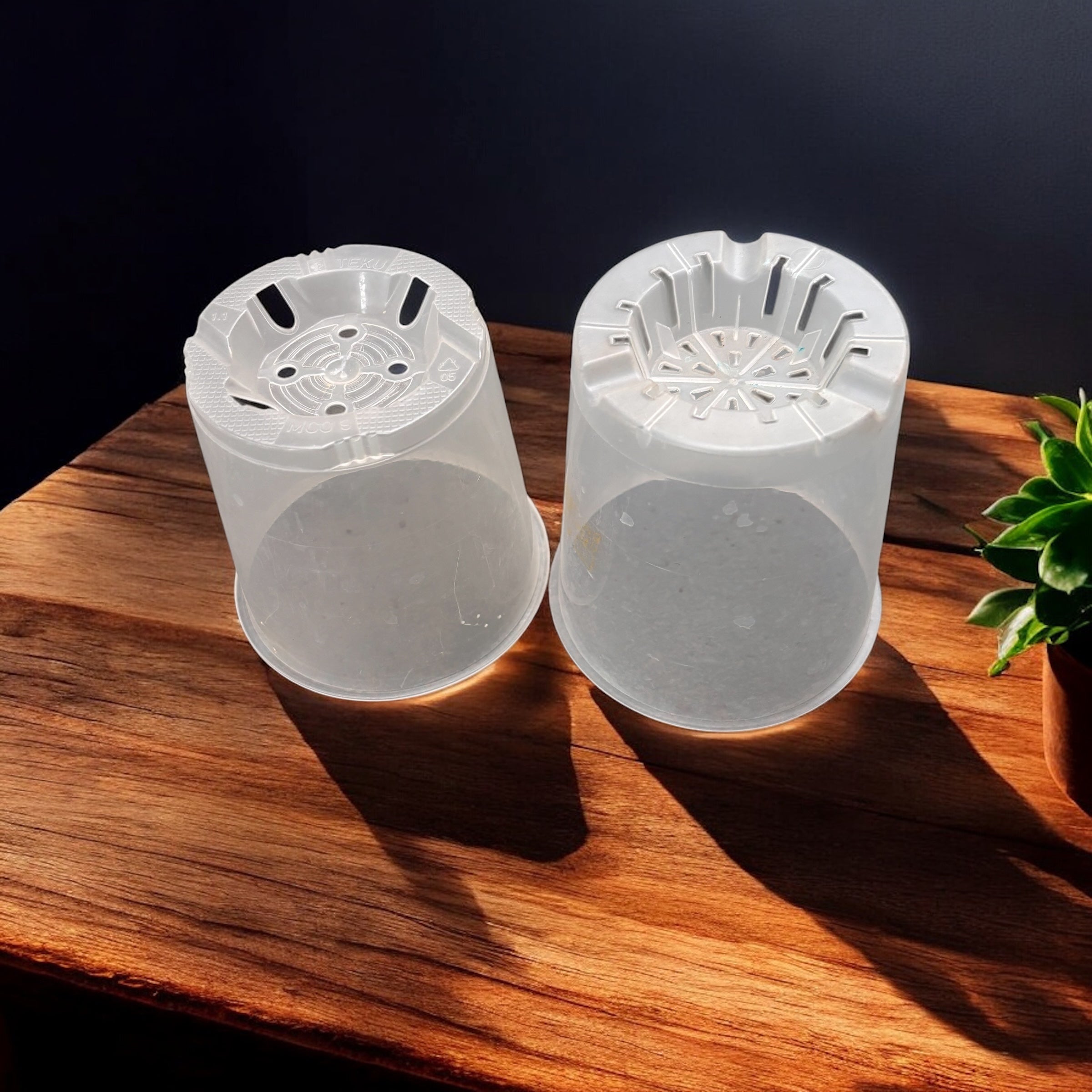 Ghiveci transparent orhidee, plastic D9cm