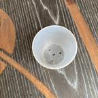 Ghiveci transparent, plastic D5 cm