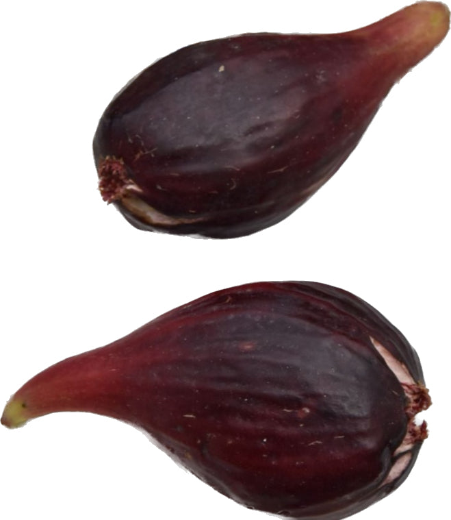 Smochin - Ficus carica 'Lungo Del Portogallo' – Secret Garden