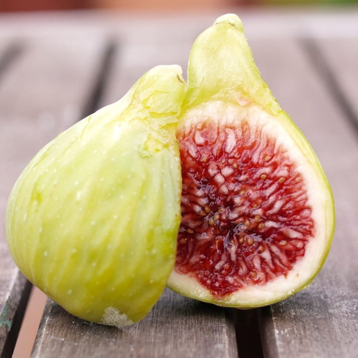 Smochin - Ficus carica 'Cuello de Dama Blanca'