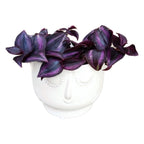 Vas decorativ Face D10cm