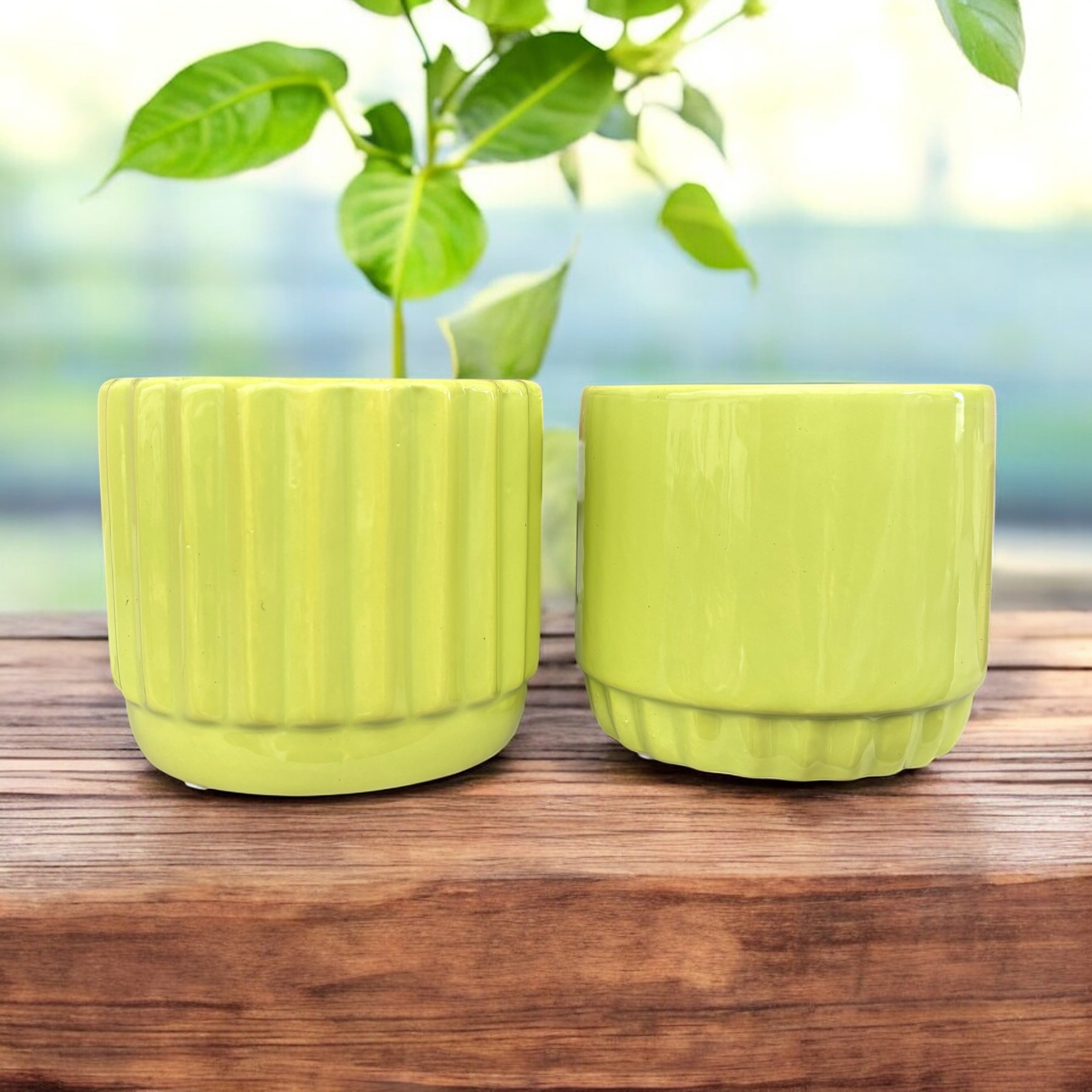 Vase decorative Liam - diametru 9 cm – Secret Garden Plant Shop
