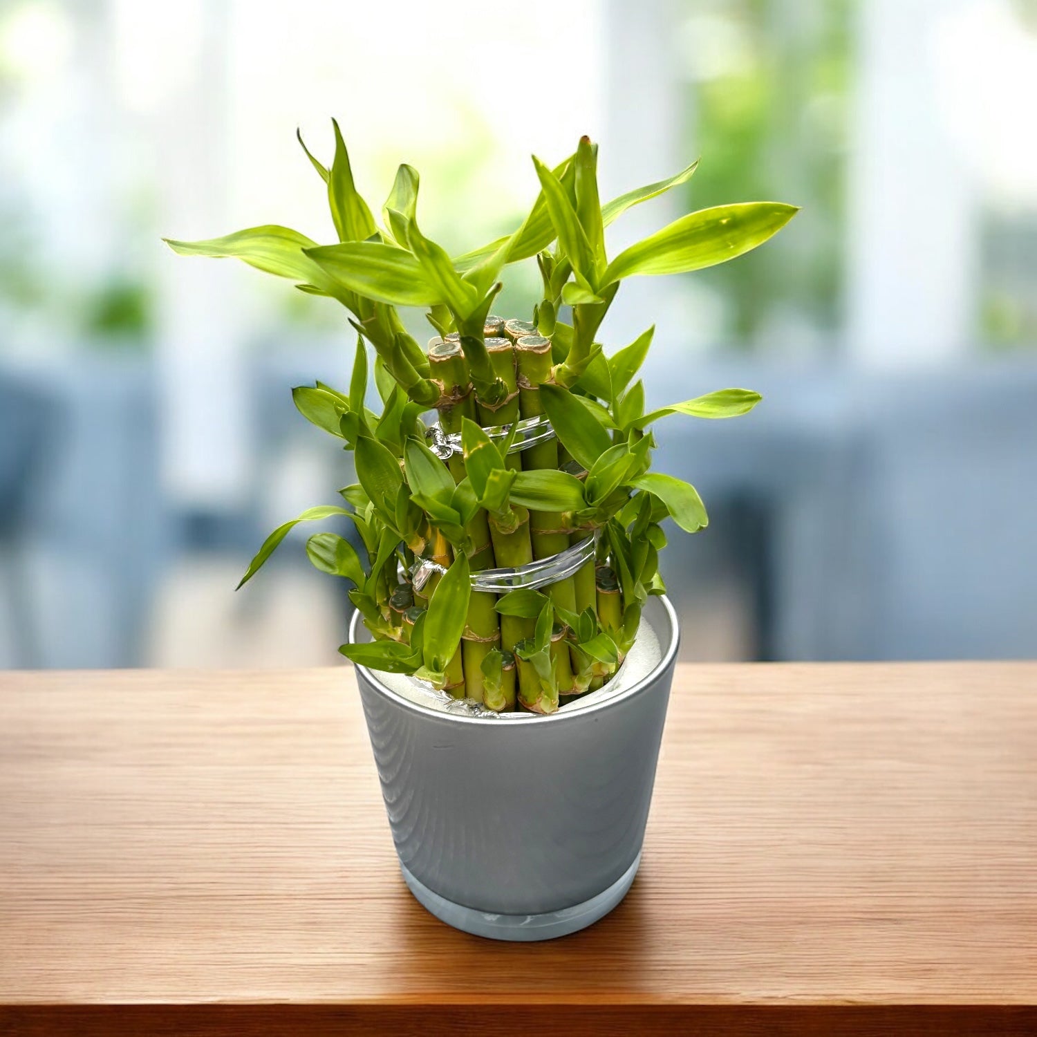 Aranjament de bambus 3 nivele