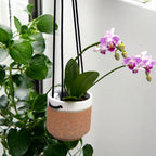 Ghivece ceramice cu agatatoare D9