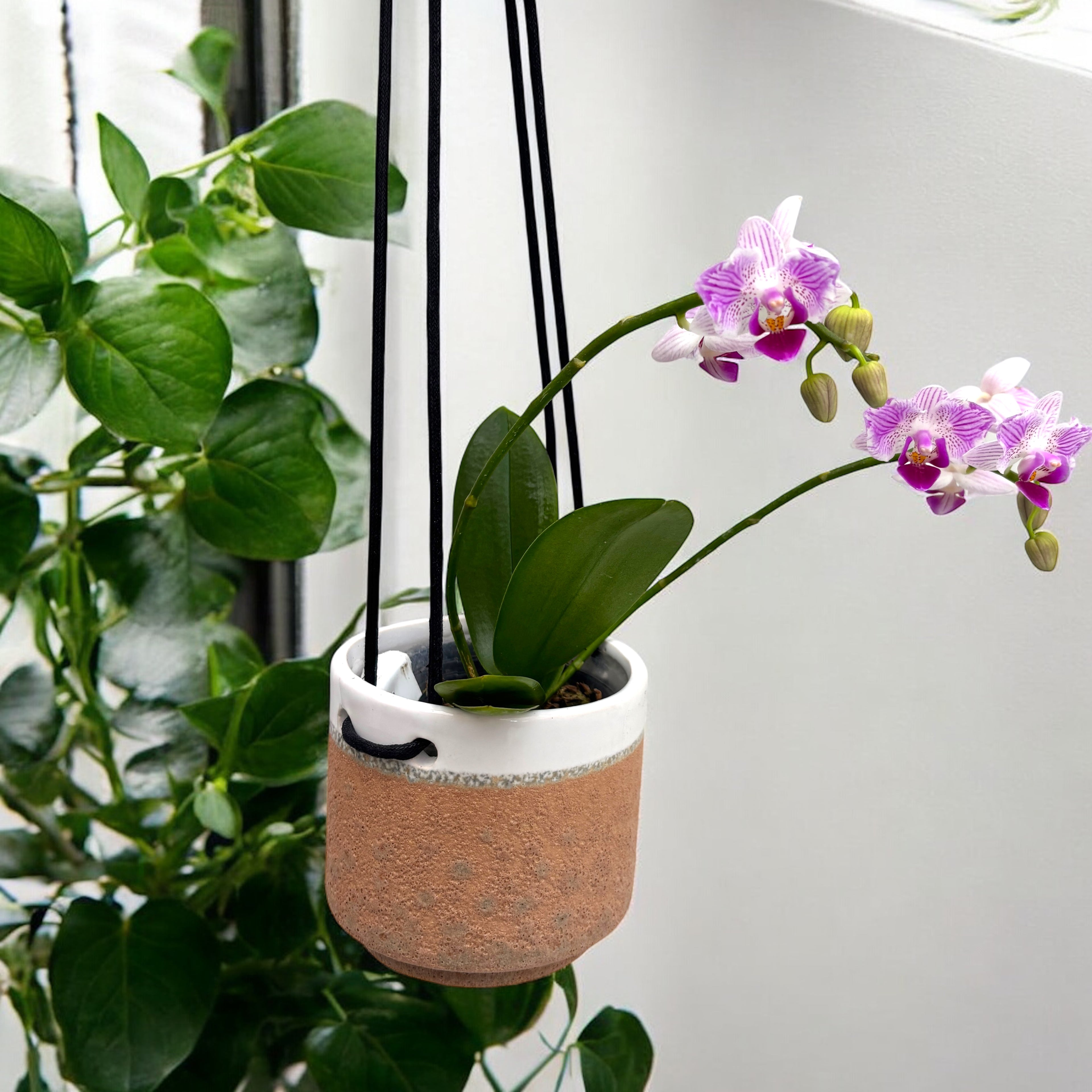 Ghivece ceramice cu agatatoare D9