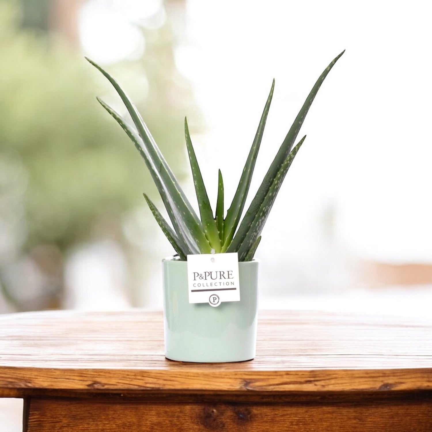 Ghiveci ceramic verde lucios Essential Green D13