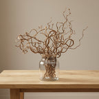 Crengi decorative spiralate