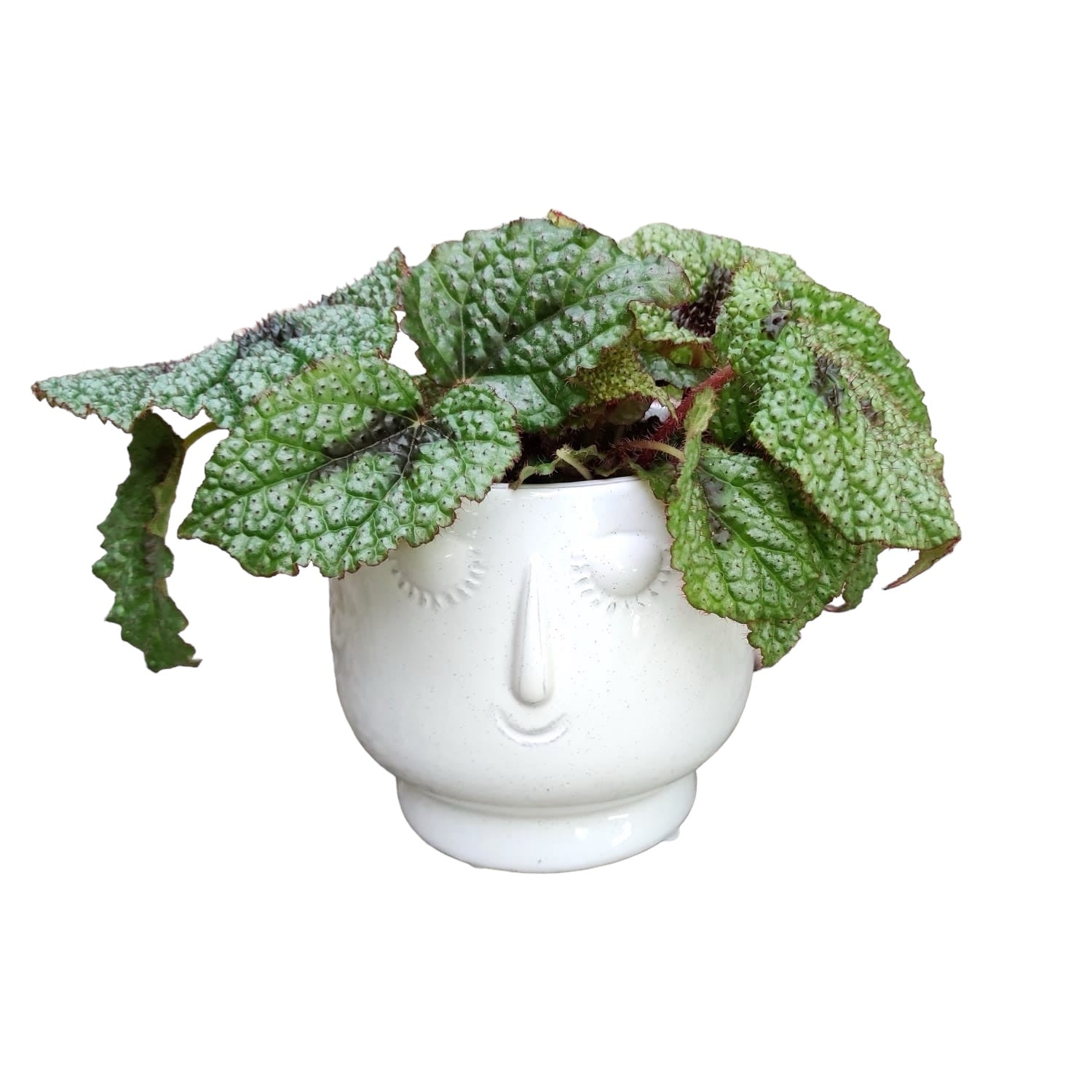 Koristepullo Face D12cm