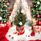 Potted Christmas Tree Decorated ‘Christmas Joy’