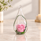 Kryogene Rosen im Glas – ein elegantes Geschenk