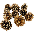 Conuri de brad - set de 10 buc