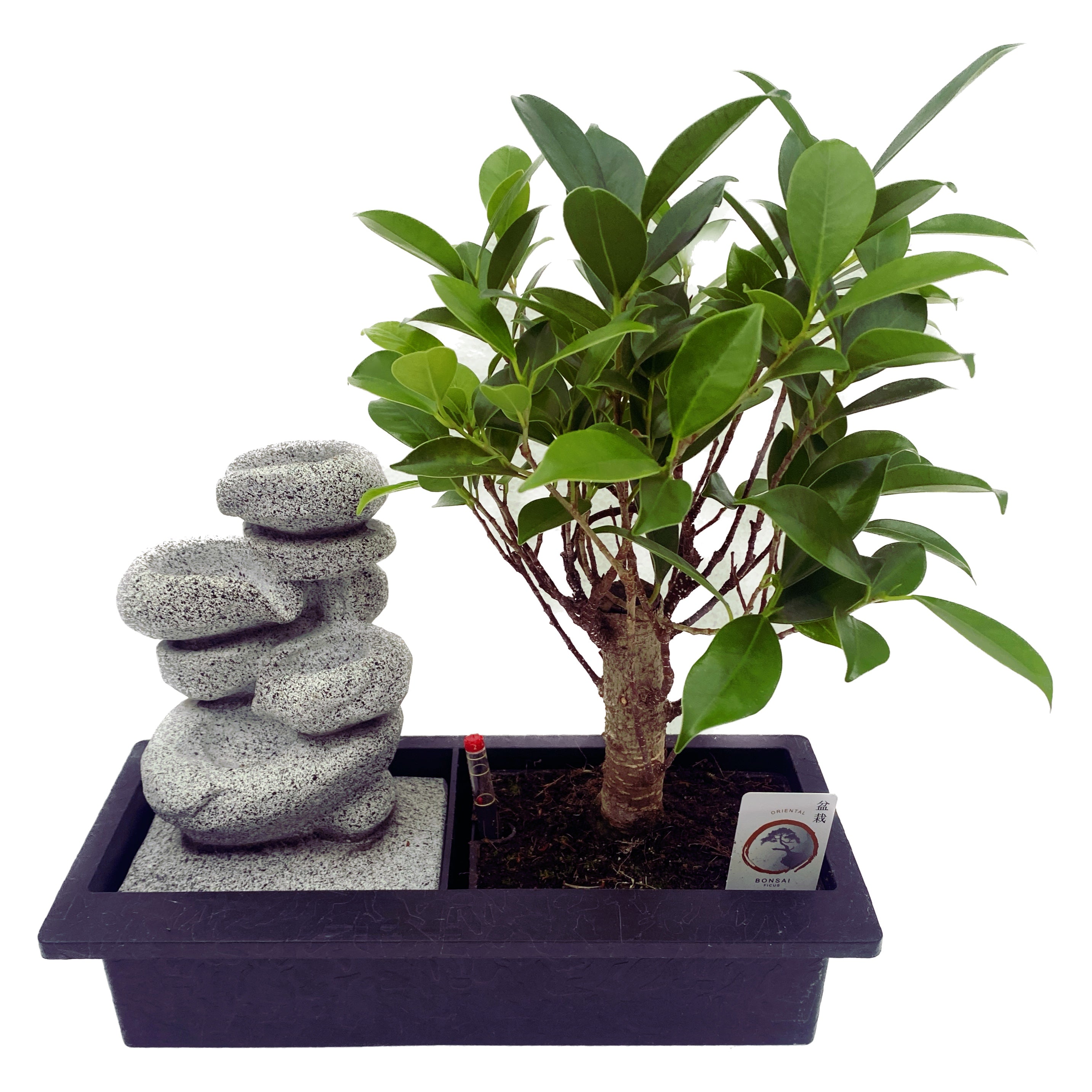 Bonsai - Stone Waterfall fountain