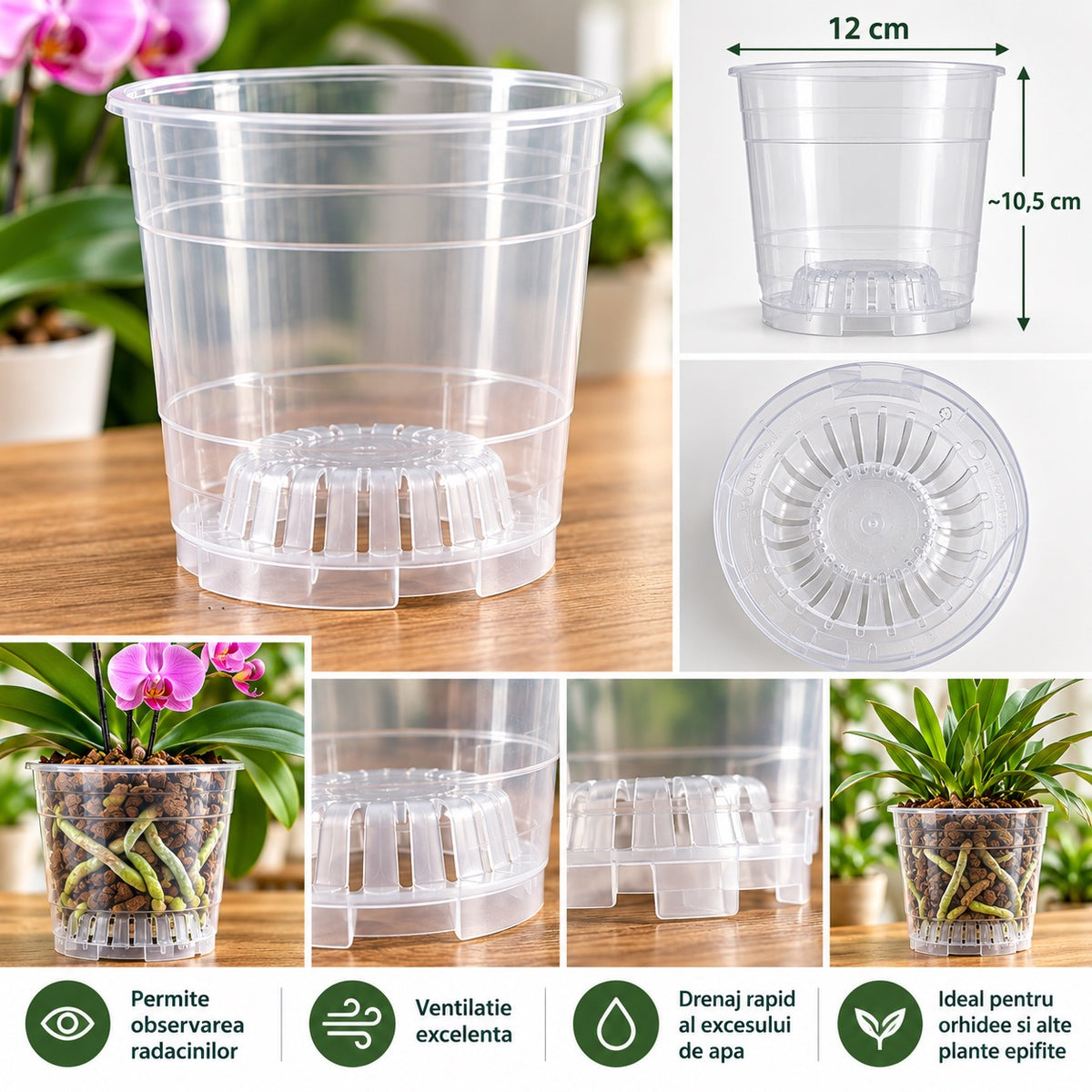 Ghiveci transparent pentru orhidee Oxygen 12 cm - ventilat, cu drenaj special