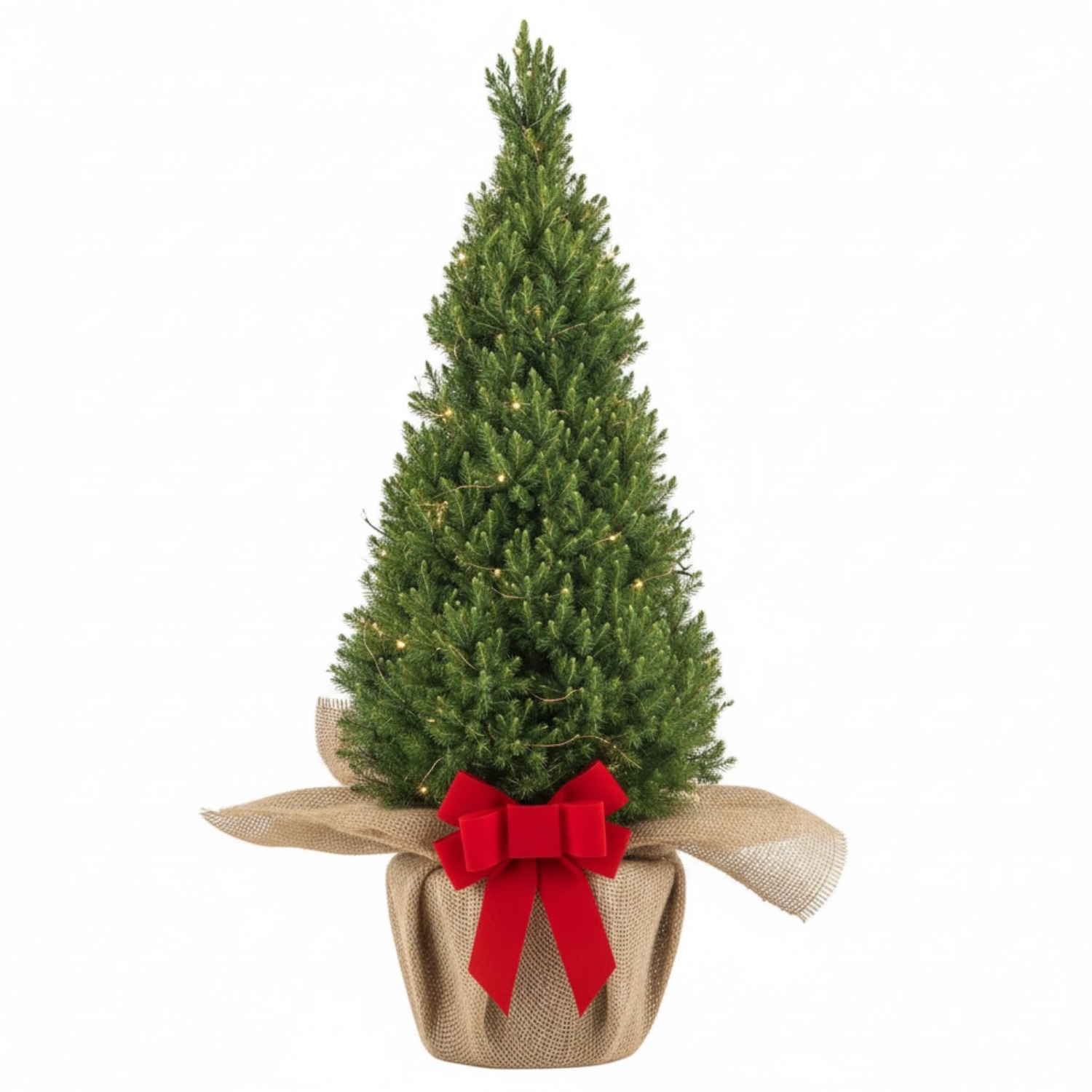 Brad natural, impachet de cadou + instalatie luminoasa H90 cm