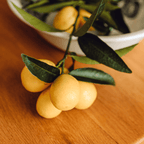 Limequat Lara (lime x kumquat)