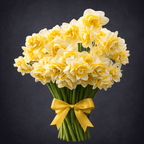 Narcissus 'Westward'