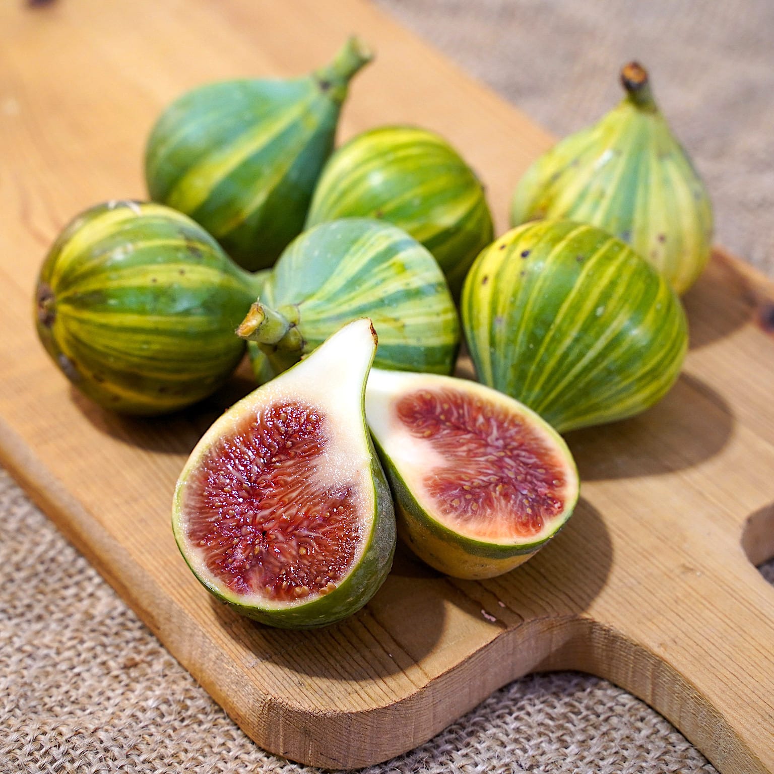 Smochin pe picior cu fructe variegate - Ficus carica 'Panache' - 100 c ...