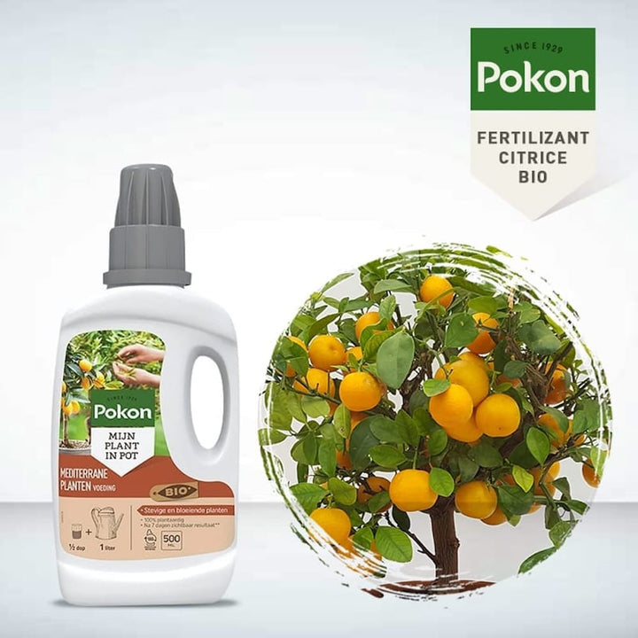 Ingrasamant Pokon citrice BIO 500ml (Citrice, Leandru, Maslini)