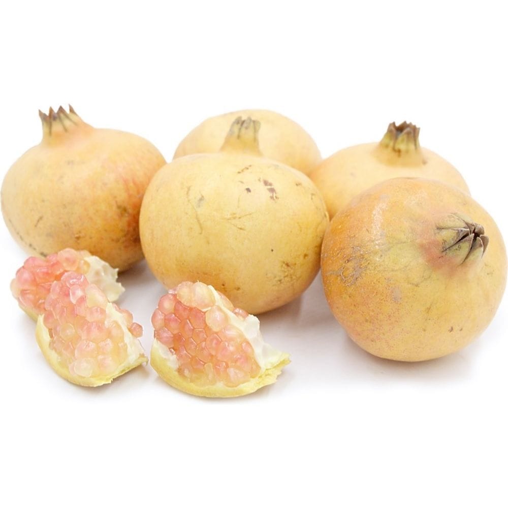 Rodiu cu fructe albe si flori duble - Punica granatum 'Haku Botan ...