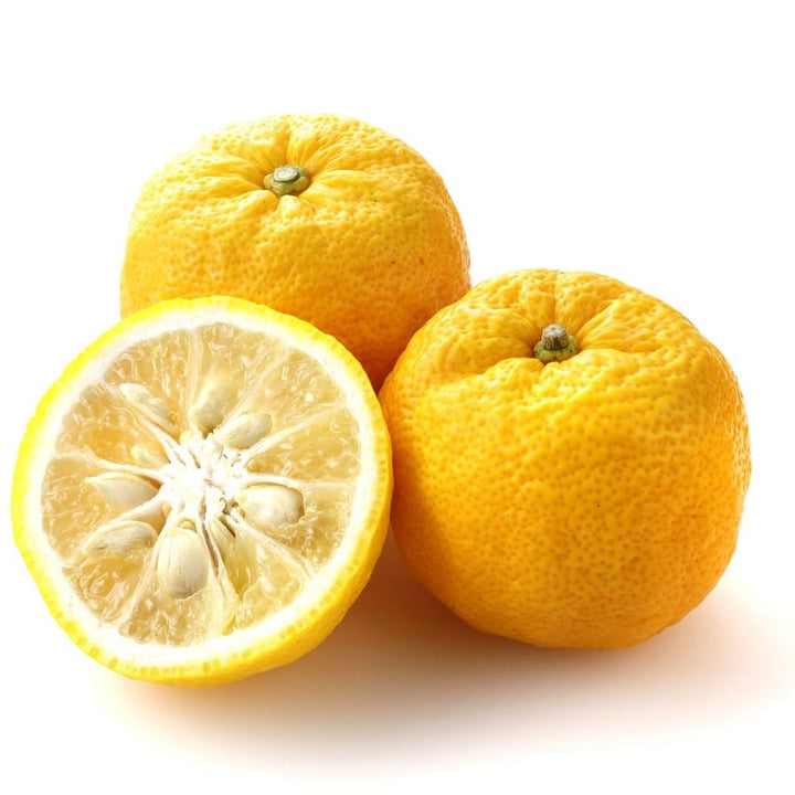 Citrus Yuzu (Citrus junos)