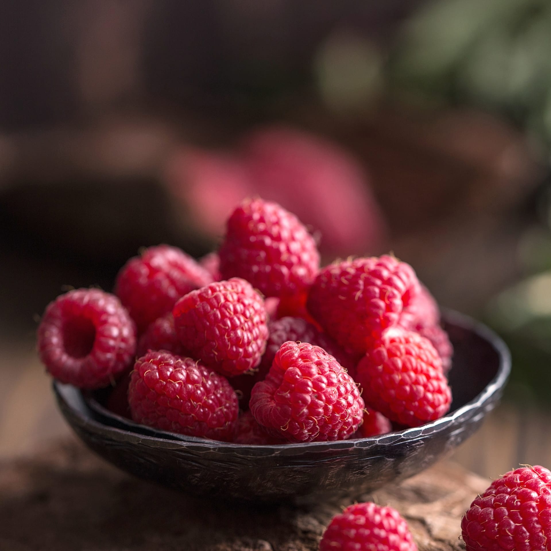 Rubus idaeus 'Canby'
