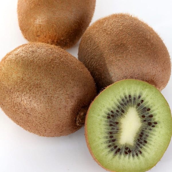 Self-fertile kiwi - Actinidia deliciosa 'Solissimo'® - frost resistant