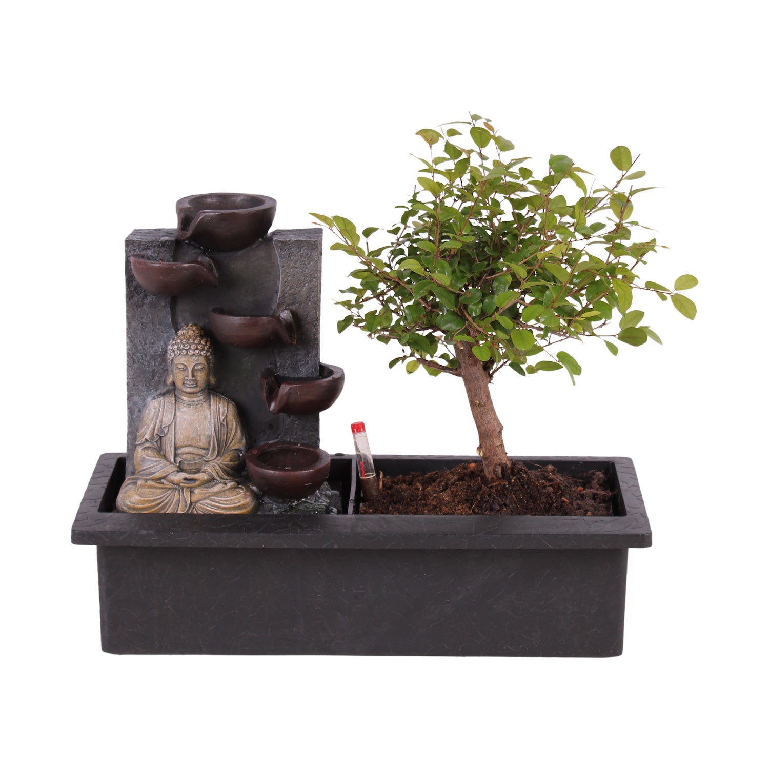 Bonsai - 'Buddha' Waterfall fountain