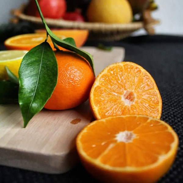 Citrus reticulata - Mandarin in ghiveci