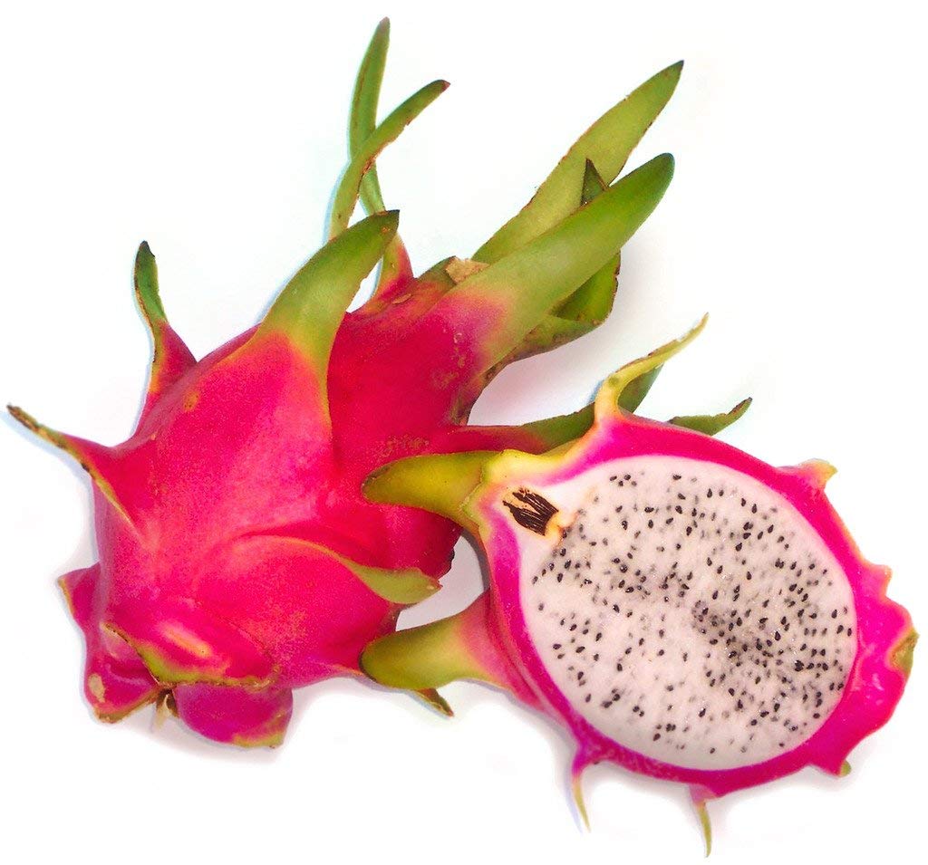 Cactus Hylocereus undatus - fructul dragonului