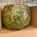 Dekorativer Keramiktopf Zebra D9.5