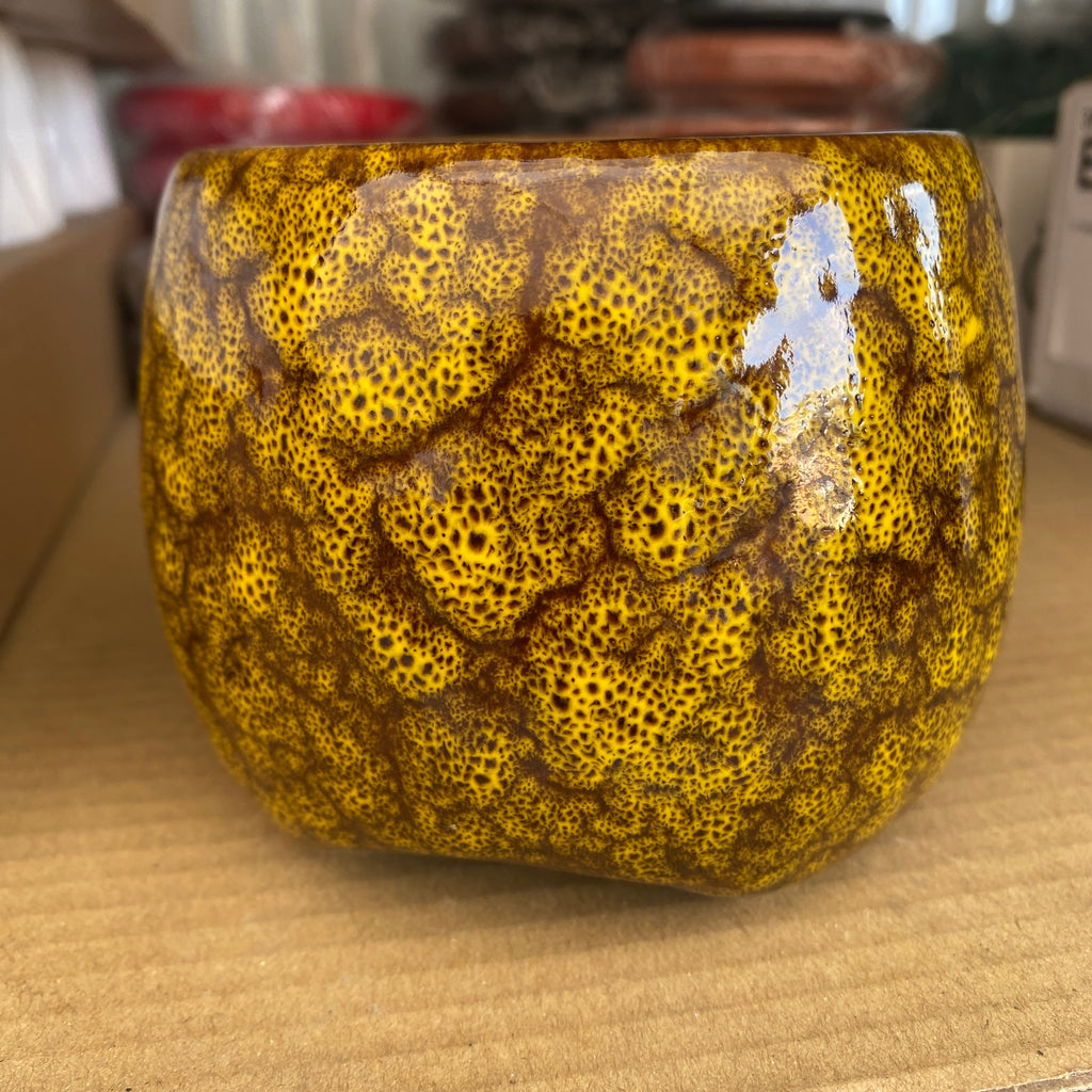 Vaso decorativo in ceramica Zebra D9.5