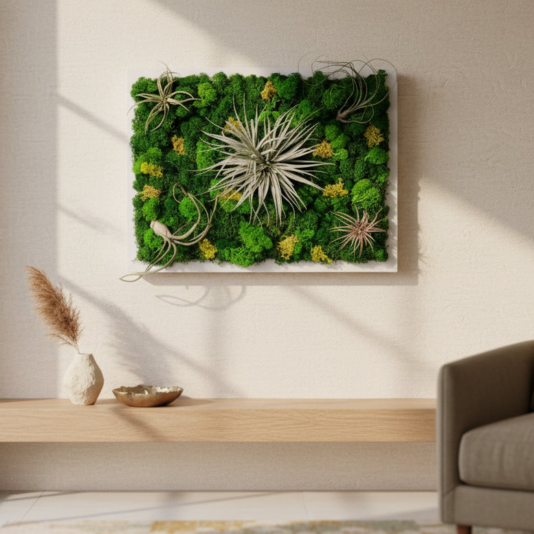 Tablou licheni stabilizati cu plante aeriene