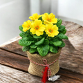 Primula acaulis in sac de iuta cu fir de martisor inclus – cadou vesel de primavara