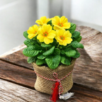 Primula acaulis in sac de iuta cu fir de martisor inclus – cadou vesel de primavara