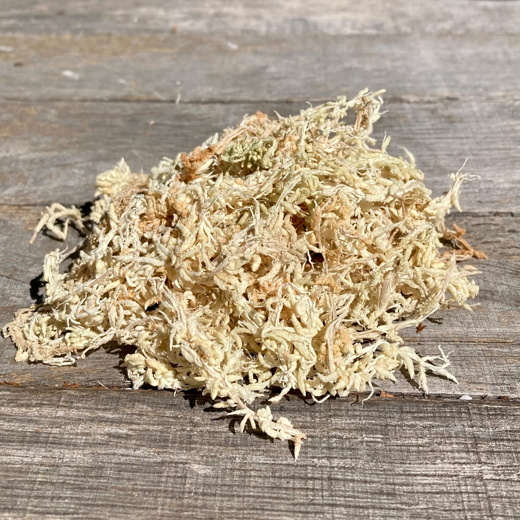 Muschi Sphagnum (Noua Zeelanda) uscat - SpagMoss Premier AAA 150g / 12L