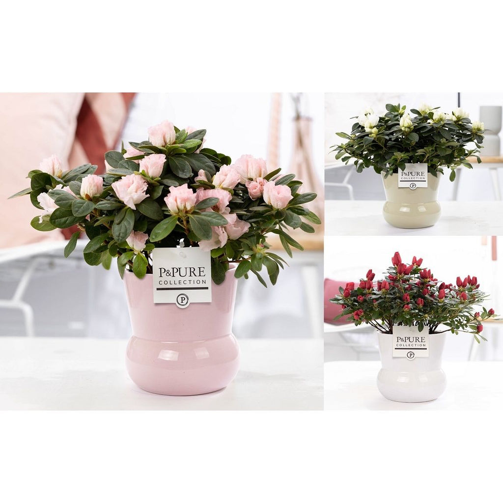 Dekoratívna váza z ružovej keramiky Maxima D13