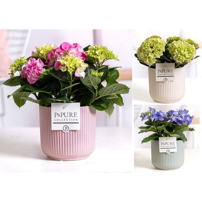 Vas decorativ din ceramica roz Sophie Pink D13