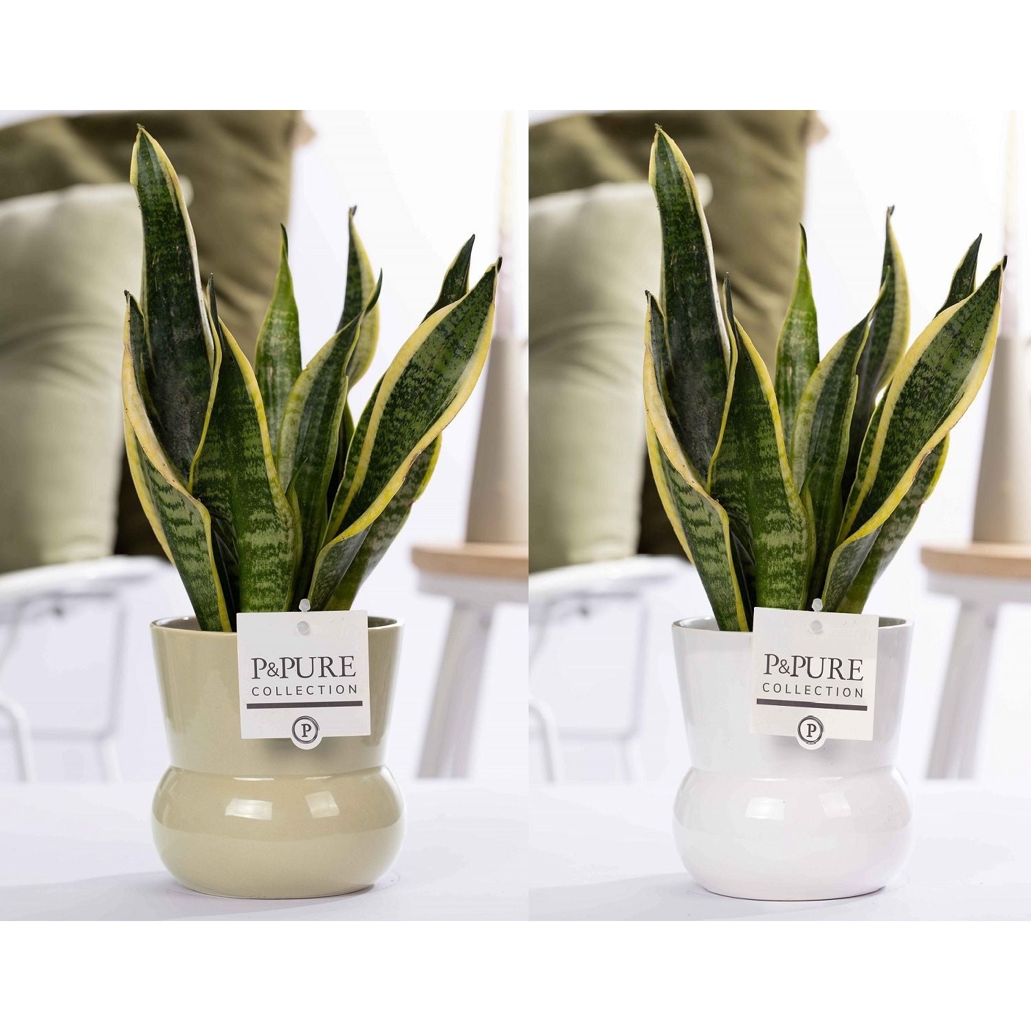 Vas decorativ din ceramica bej Maxima D13