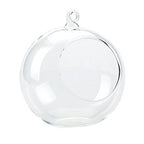 Bol sau glob sticla terrarium, cu agatatoare, la un pret special