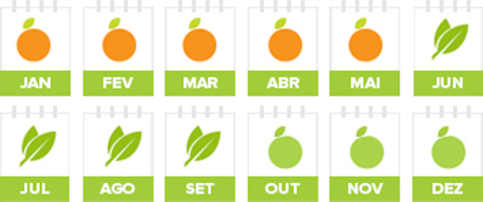 Calamondin Oriana (Citrina) D9 - exemplare tinere