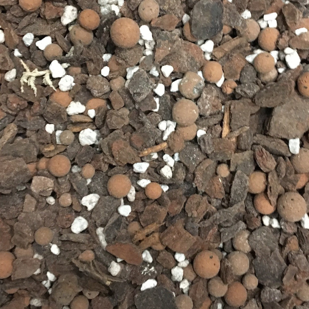 Substrat orhidee Cattleya, pamant premium orhidee