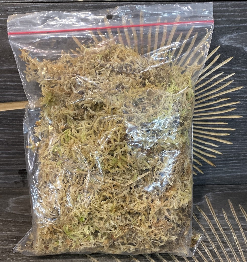 Muschi Sphagnum natural (neprocesat) (100 g)