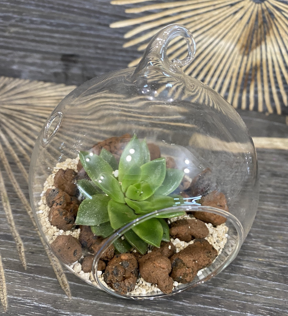 Terariu in glob de sticla cu plante suculente, pret online special!