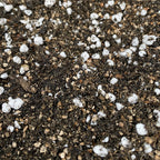 Substrat cactusi, suculente, adenium - SECRET GARDEN MIX