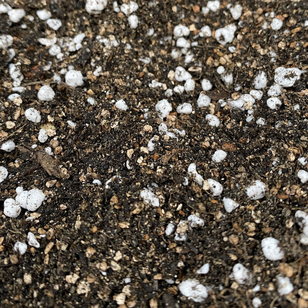 Substrat cactusi, suculente, adenium - SECRET GARDEN MIX