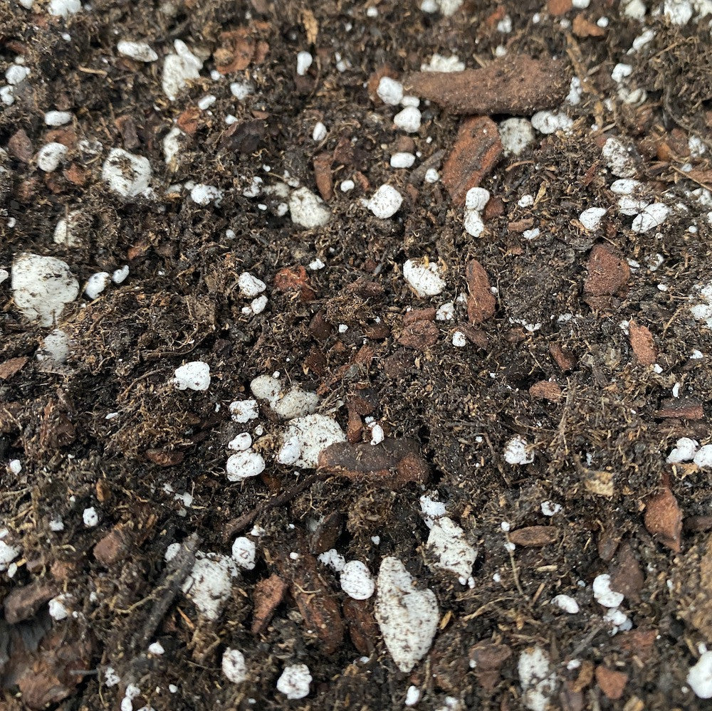 Substrat Anthurium, Hoya, Bromeliaceae, pamant premium