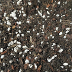 Substrat orhidee Vanilla, Ludisia, Epidendrum - pamant premium orhidee