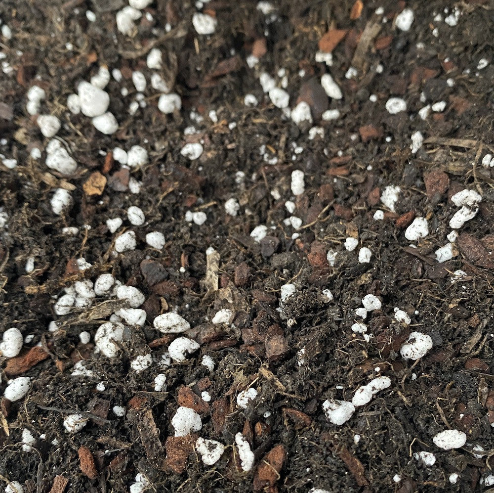 Substrat orhidee Vanilla, Ludisia, Epidendrum - pamant premium orhidee