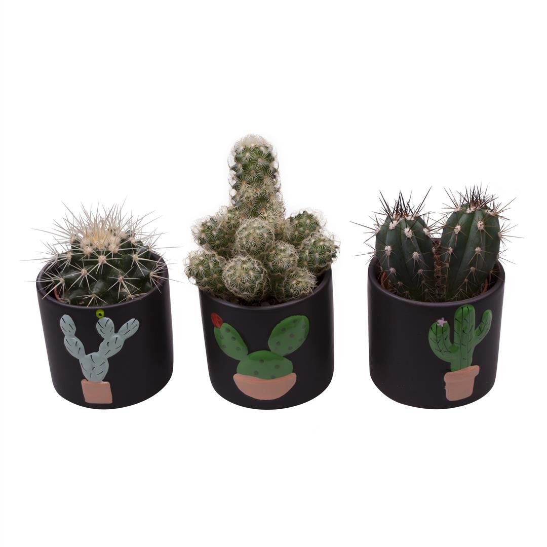 Vas ceramic (model cu cactusi)