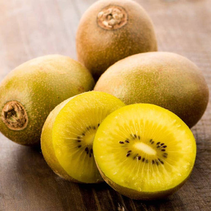 Actinidia-deliciosa-Golden-Kiwi